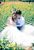 user_avatar