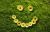user_avatar